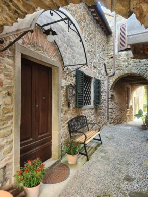 Casa dell 'Vista Gorgeous Remodeled Stone Country House in Rural Northern Tuscany Longoio-Mobbiano